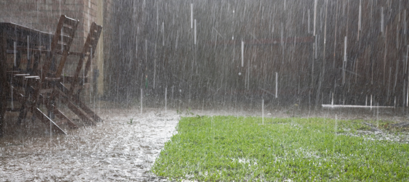 heavy rain falling on a backyard water puddling on the grass.